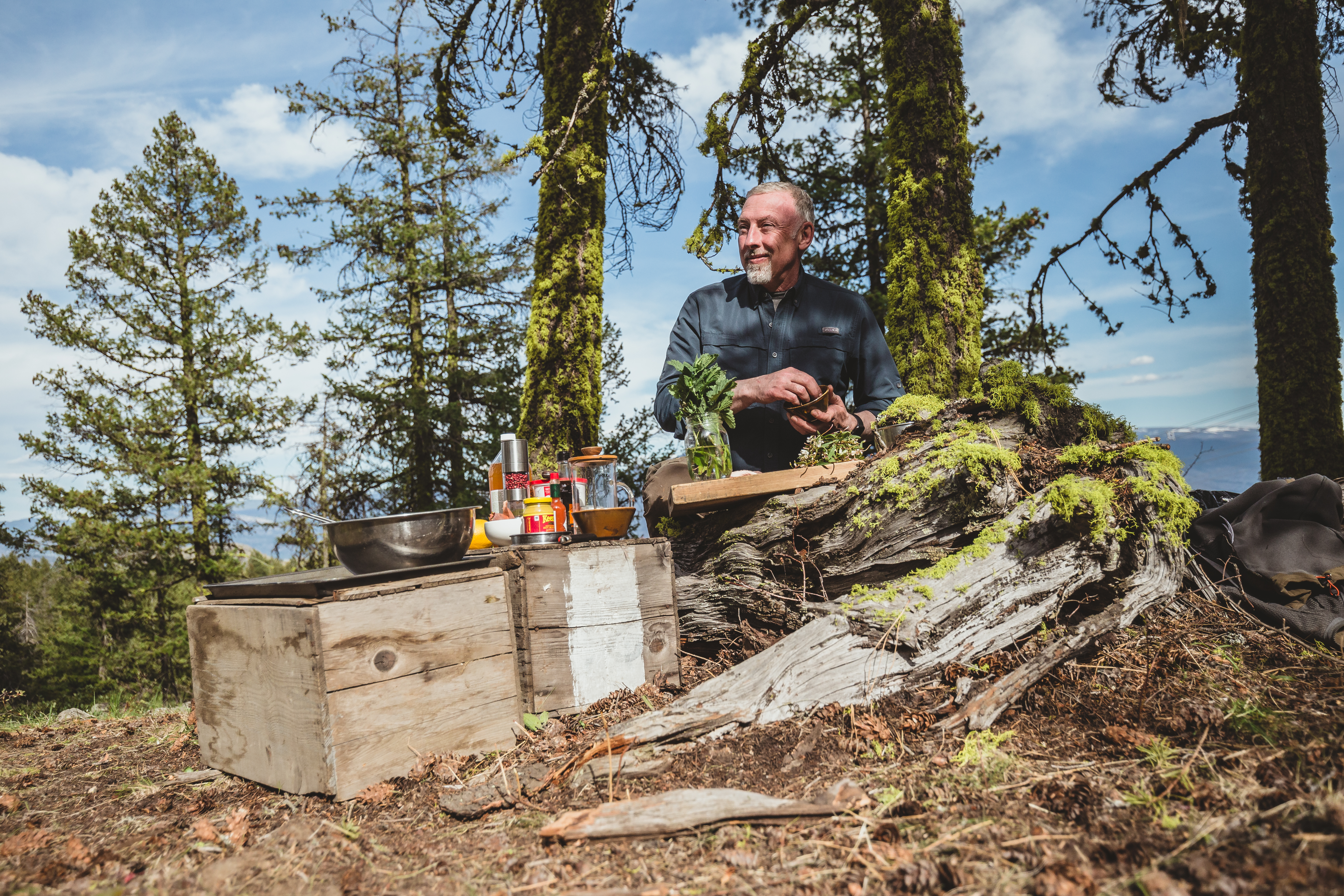 Paul's Kitchen landscape, Wild Harvest